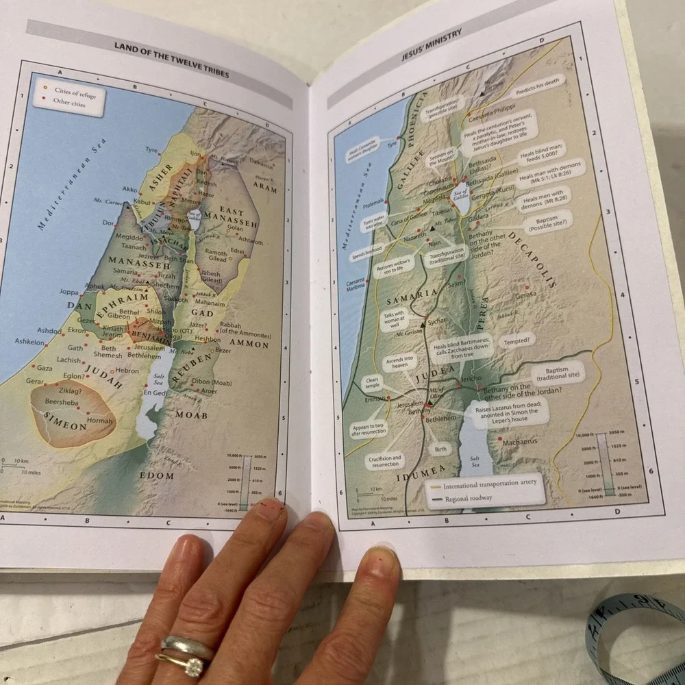NIV Holy Bible Blue Leather-Look Red Letter Edition 2011 Zondervan Indexed Maps‎